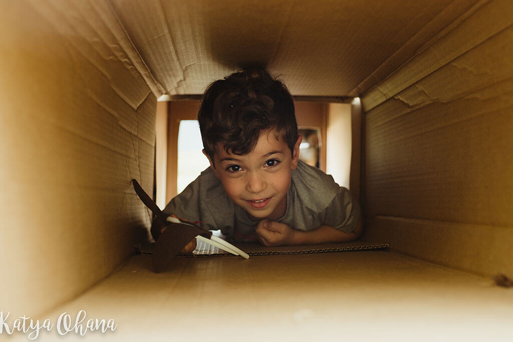 livy in cardboard