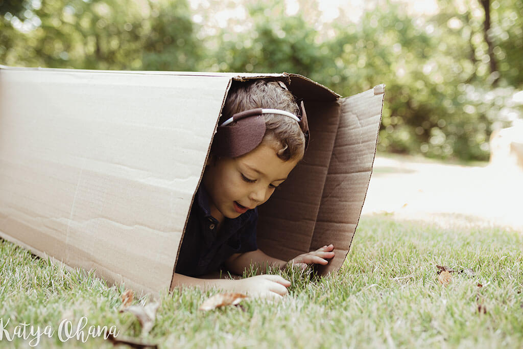 Neta inside a cardboard box